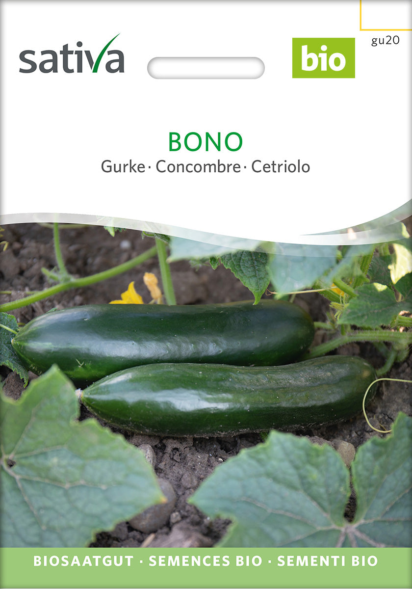 BIO Saatgut Freilandgurke Bono