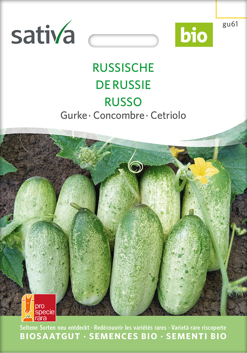 BIO Saatgut  Gurke russische