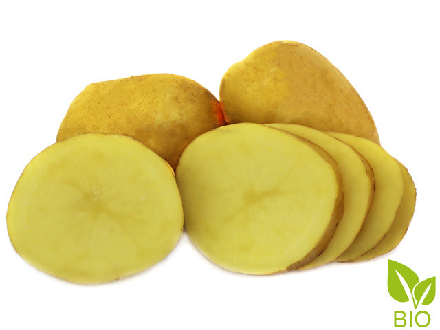 BIO Pflanzkartoffeln Heidemarie