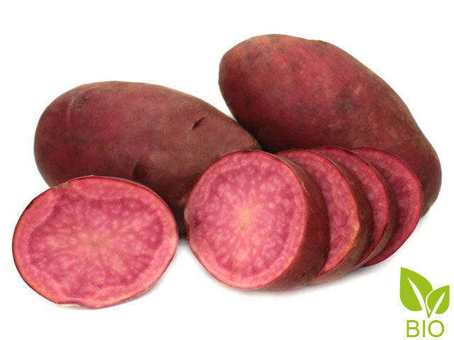 BIO Pflanzkartoffel Heiderot