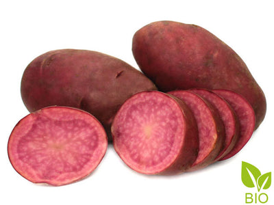 BIO Pflanzkartoffeln Heiderot 2,5 kg ABVERKAUF