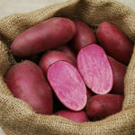 BIO Pflanzkartoffeln Heiderot 2,5 kg