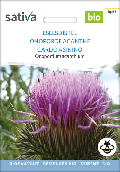 BIO Saatgut Eselsdistel