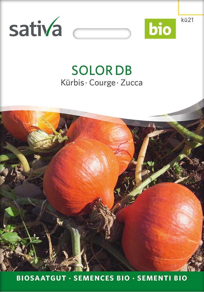 BIO Saatgut Kürbis Solor DB