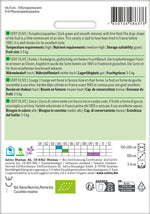 BIO Saatgut Kürbis vert olive Kulturanleitung