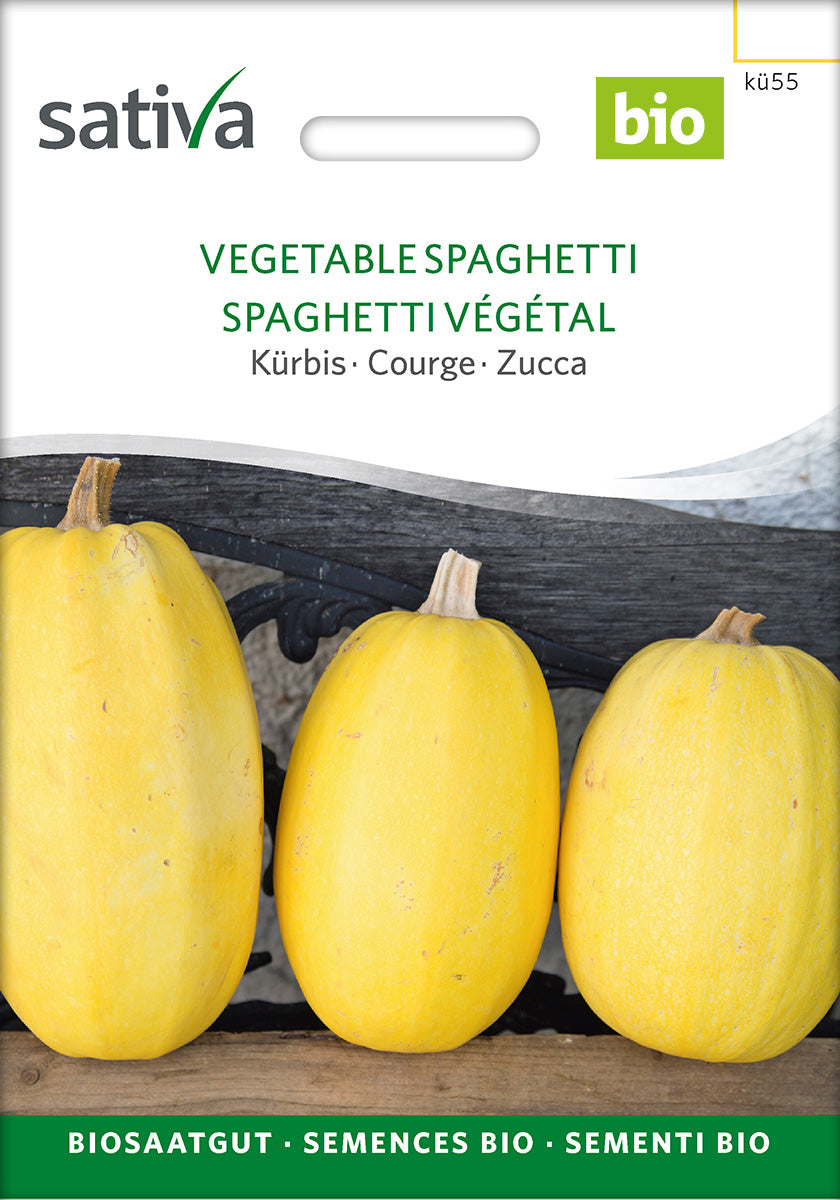 BIO Saatgut Spaghettikürbis