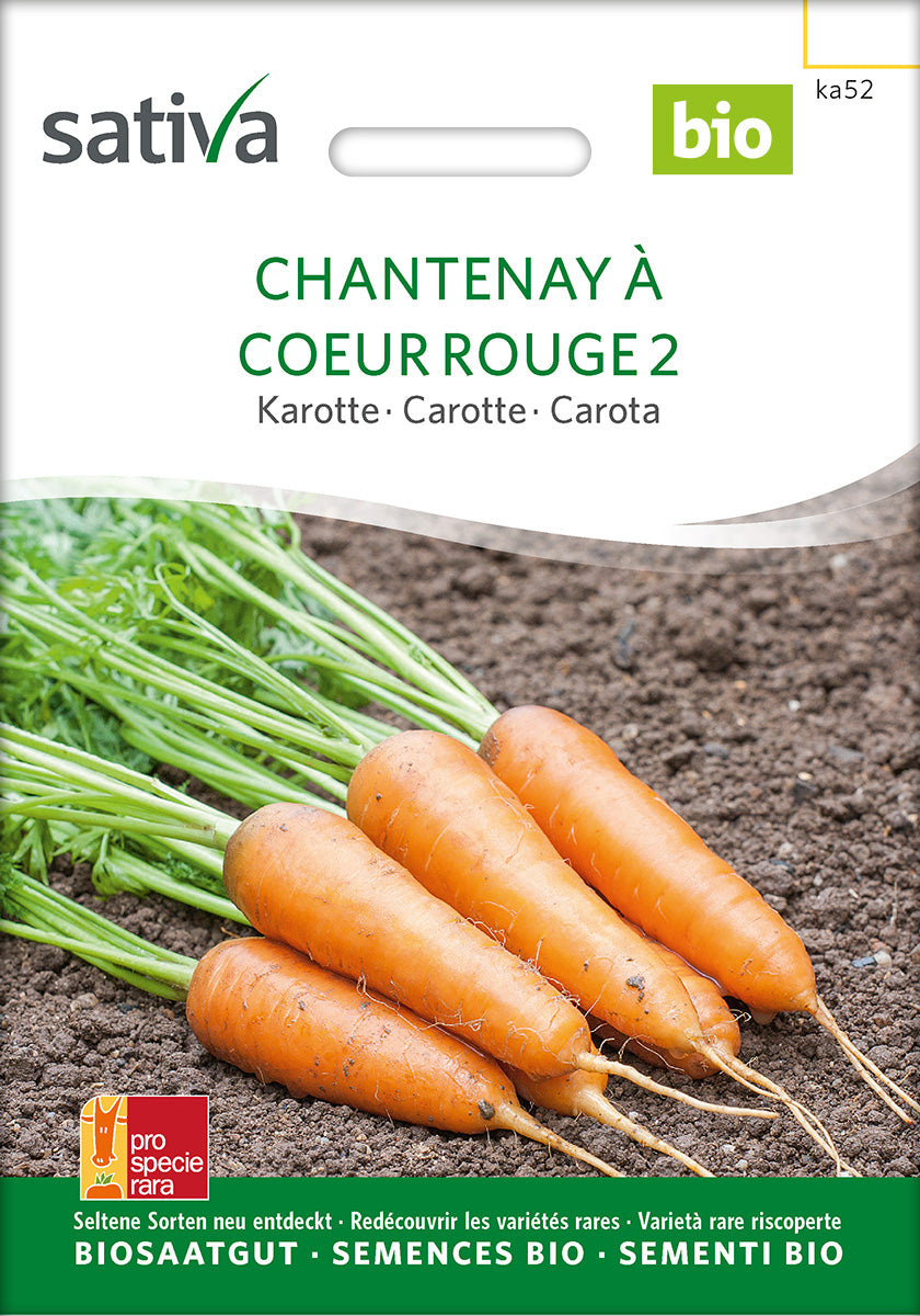 BIO Saatgut Möhre Chantenay – Biogartenladen