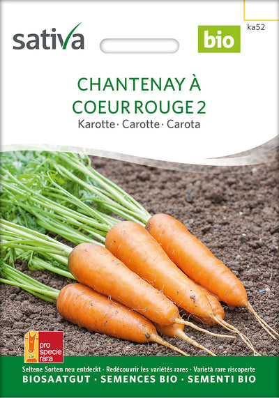 BIO Saatgut Möhre Chantenay