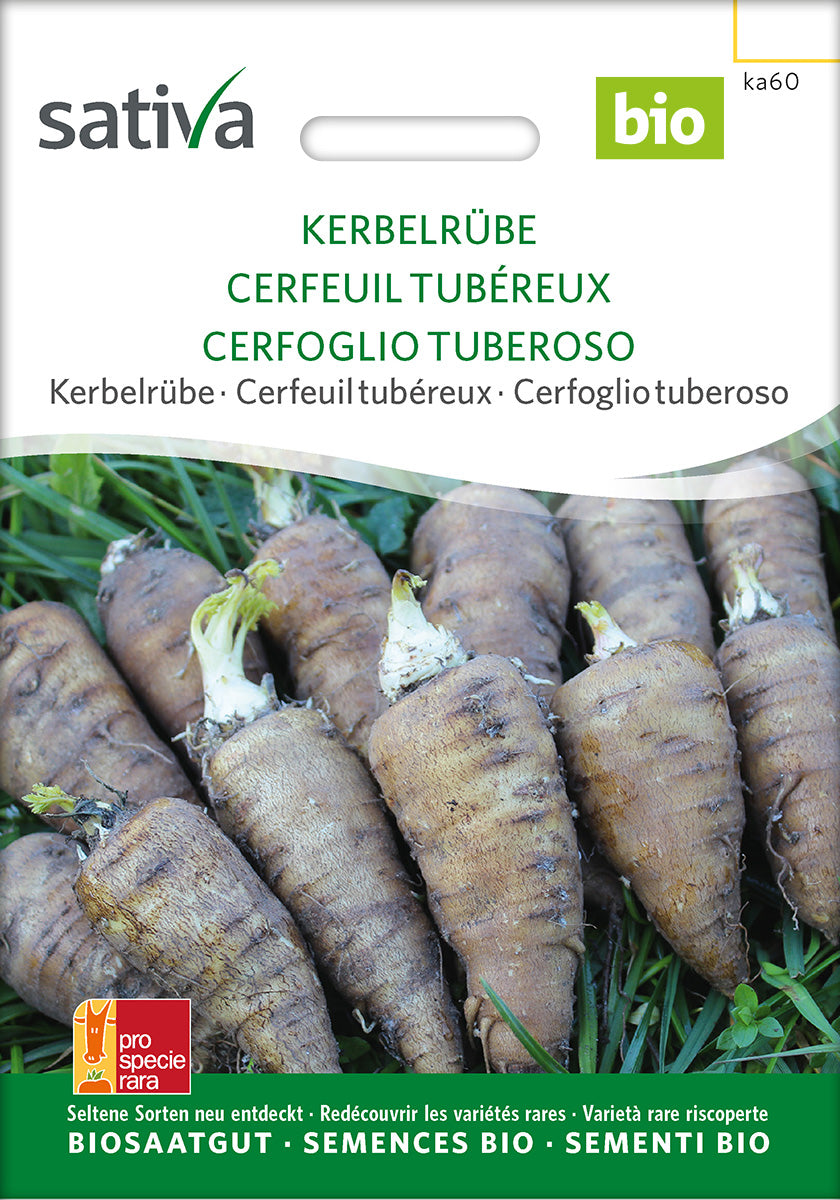 BIO Saatgut Kerbelrübe – Biogartenladen