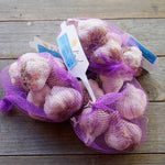 BIO Pflanzknoblauch Sorte Cledor 250g