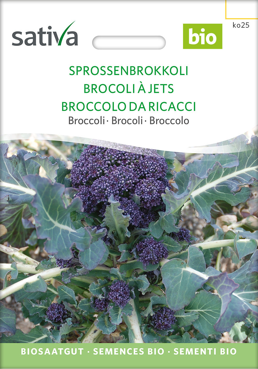 BIO Saatgut Sprossenbrokkoli 
