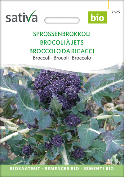 BIO Saatgut Sprossenbrokkoli
