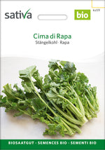 BIO Saatgut Stängelkohl Cima di Rapa – aromatische Kohlsorte aus biologischem Anbau, samenecht und nachbaufähig