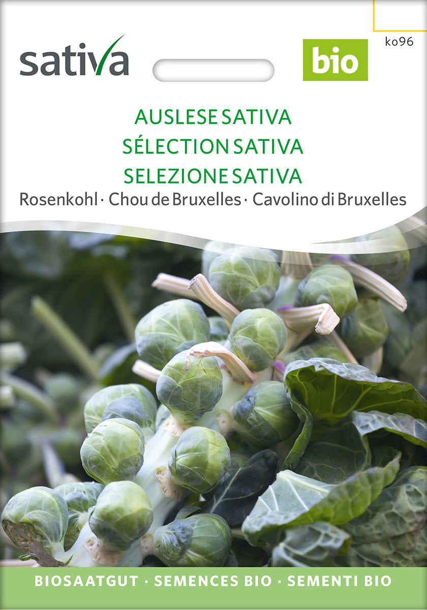 BIO Saatgut Rosenkohl Auslese
