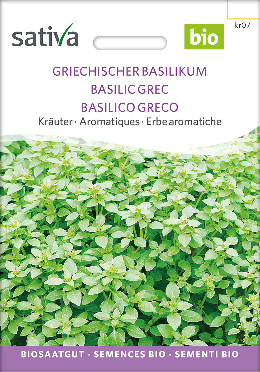 BIO Saatgut Griechischer Basilikum