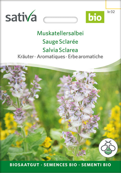 BIO Saatgut Muskatellersalbei