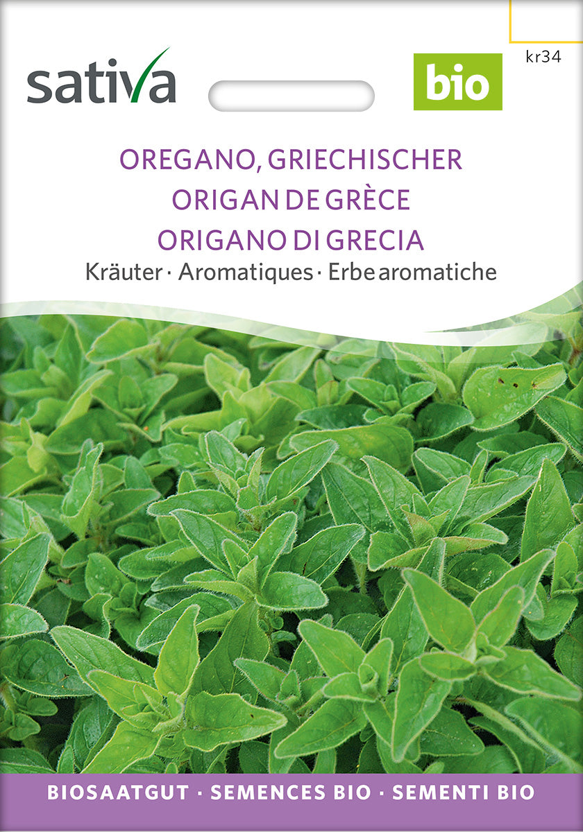 BIO Saatgut Oregano, griechischer