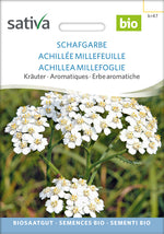 BIO Saatgut Schafgarbe