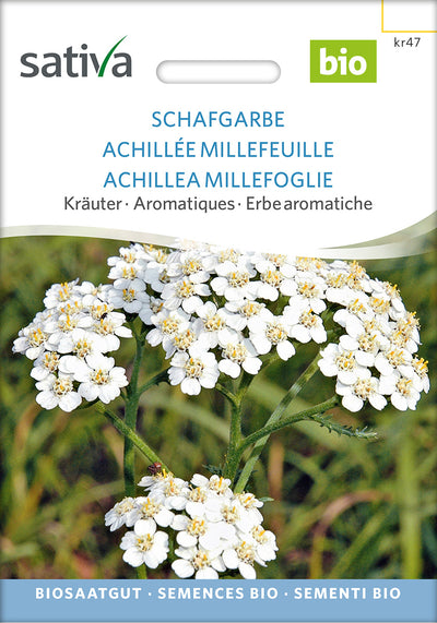 BIO Saatgut Schafgarbe