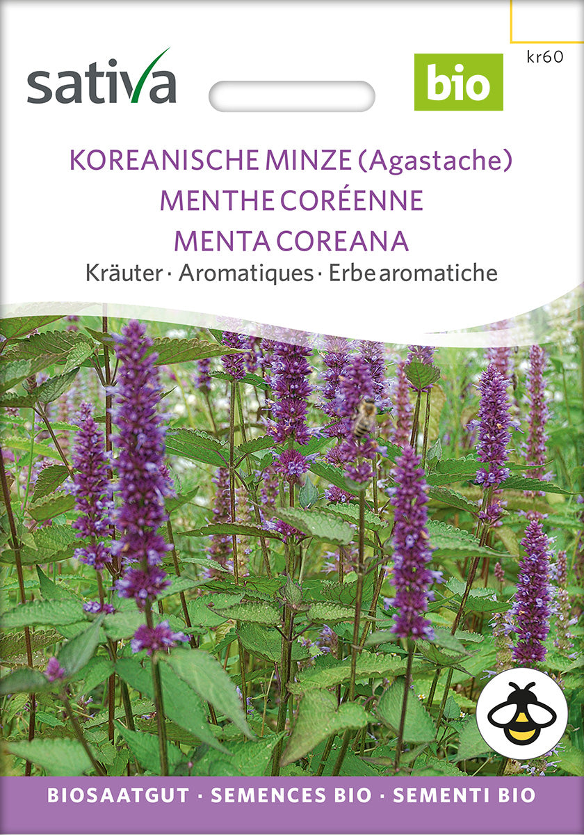BIO Saatgut Koreanische Minze