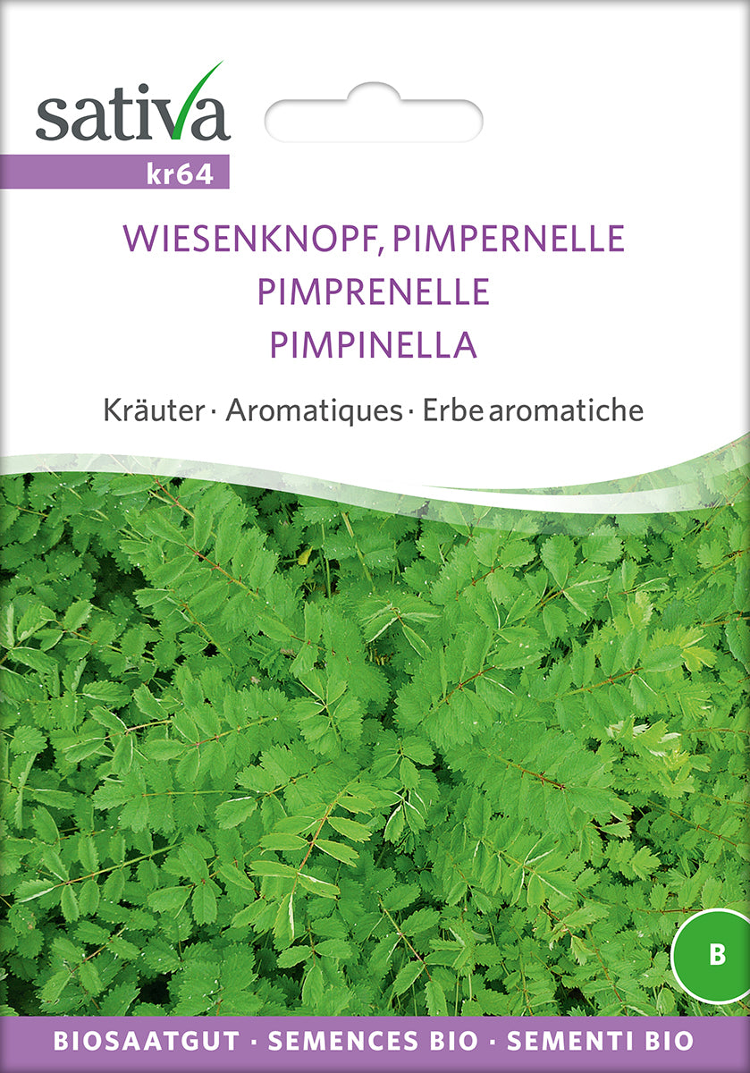 BIO Saatgut Pimpernelle  Biogartenladen
