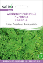 BIO Saatgut Pimpernelle