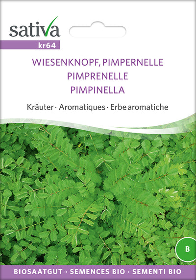 BIO Saatgut Pimpernelle
