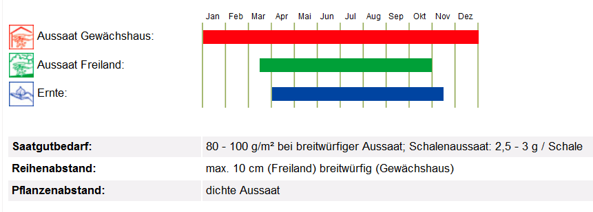 BIO Saatgut Kresse einfache Kulturanleitung