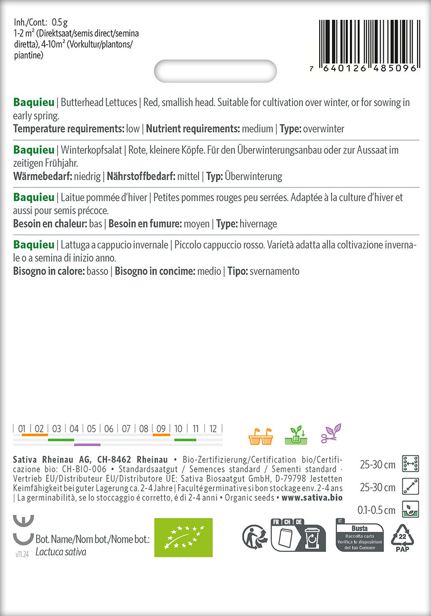 BIO Saatgut Winterkopfsalat Baquieu Kulturanleitung