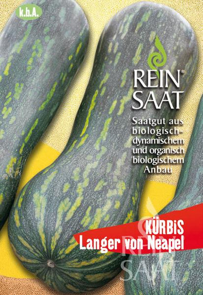 BIO Saatgut Kürbis Langer von Neapel