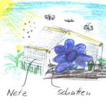 Neudorff KulturschutzNetz Anwendung Grafik biogartenladen