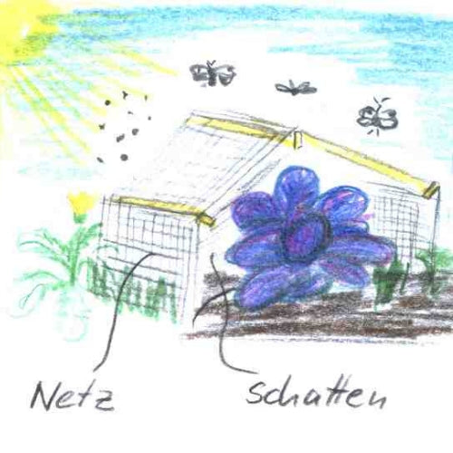 Neudorff KulturschutzNetz Anwendung Grafik biogartenladen