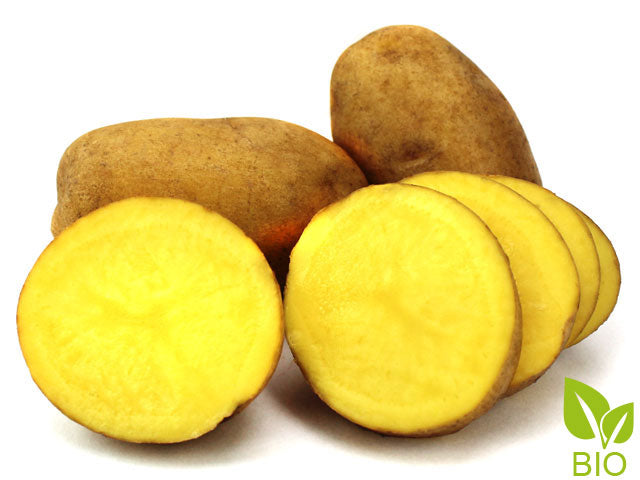 BIO Pflanzkartoffeln Linda