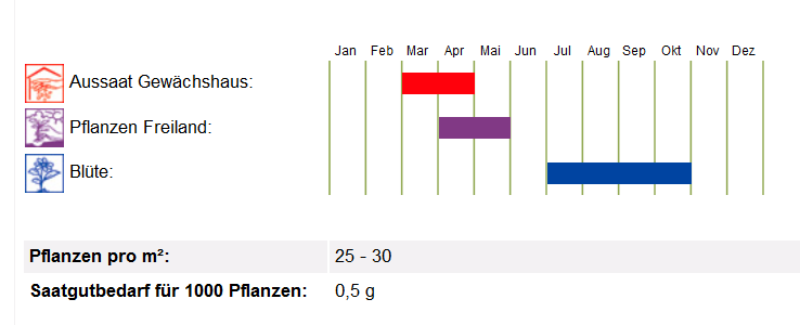 BIO Saatgut Löwenmäulchen, Kulturanleitung