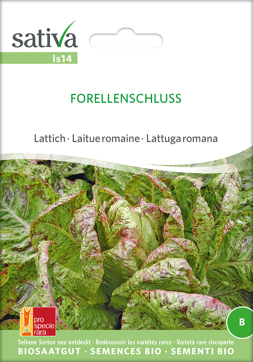 BIO Saatgut Romanasalat Forellenschluss – Biogartenladen