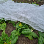 Frostschutzvlies Lutrasil Pro 30, Meterware