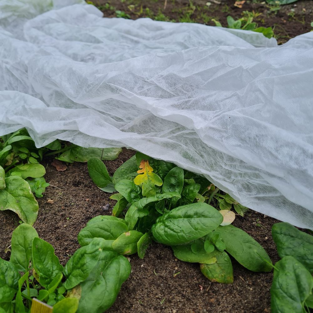 Frostschutzvlies Lutrasil Pro 30, Meterware