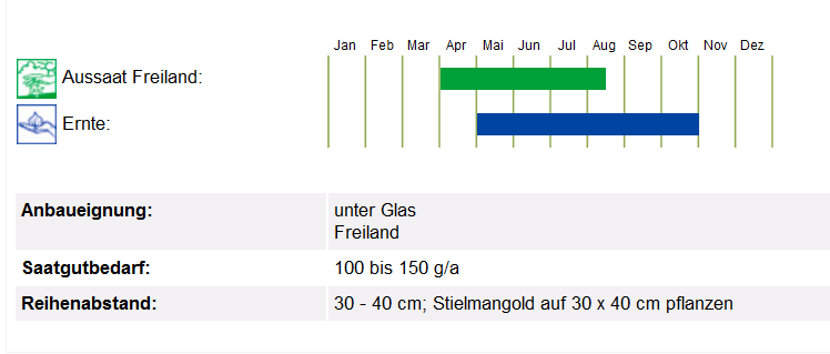 BIO Saatgut Mangold Glatter Silber, Kulturanleitung