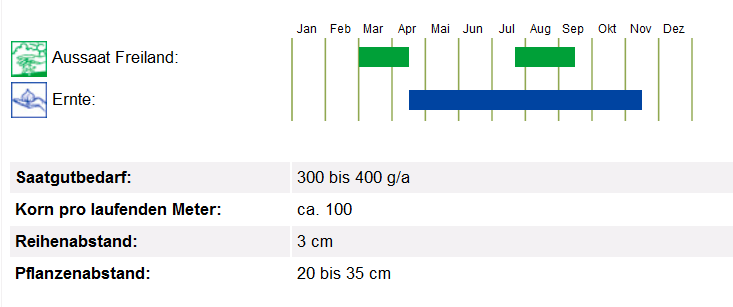 BIO Saatgut Spinat Matador, Kulturanleitung