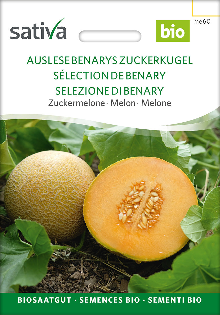 BIO Saatgut Melone Auslese (Benarys Zuckerkugel) – Biogartenladen