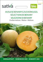 BIO Saatgut Melone Auslese (Benarys Zuckerkugel)
