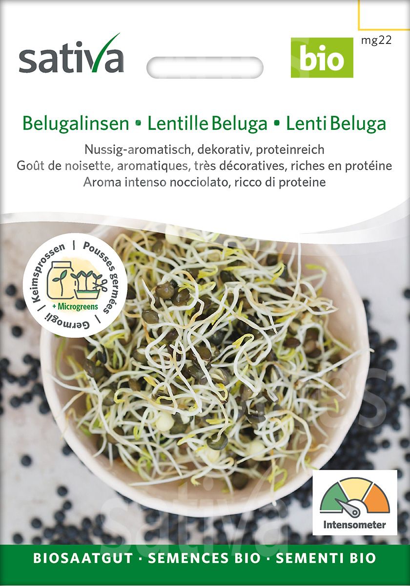 BIO Saatgut fr Sprossen & Microgreens  frisch & einfach anbauen   Biogartenladen