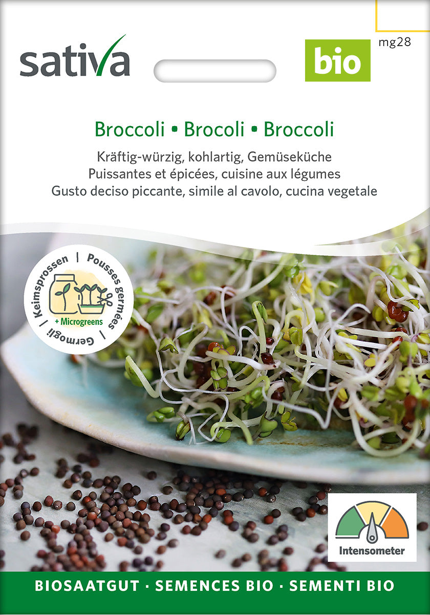 BIO Keimsaaten Broccoli – Biogartenladen
