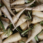 Weiße Möhre Küttiger