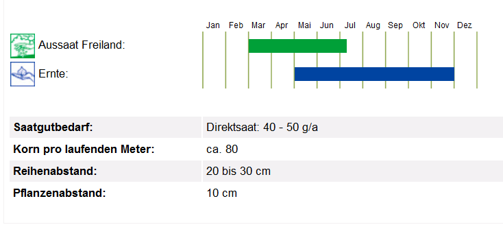 BIO Saatgut Petersilie Mooskrause 2, Kulturanleitung