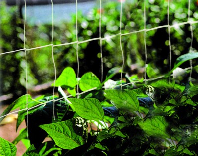 Ranknetz aus Jute für Kletterpflanzen – natürliche Rankhilfe für Urban Gardening und vertikale Gärten
