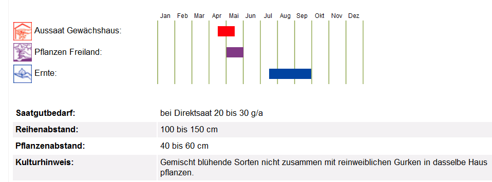BIO Saatgut Freilandgurke Persika Anbauhinweis