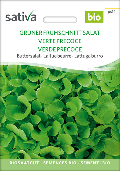 BIO Saatgut Frühschnittsalat, grüner