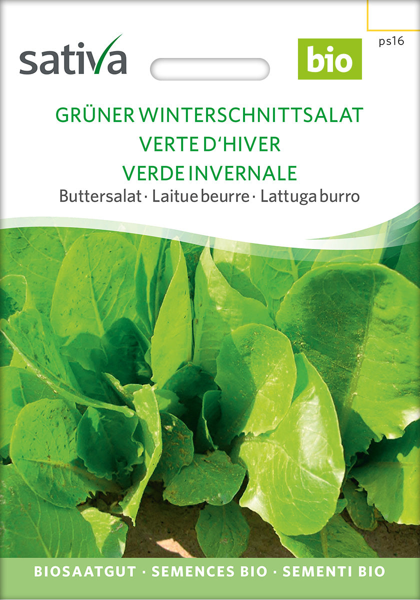 BIO Saatgut Winterschnittsalat, grüner