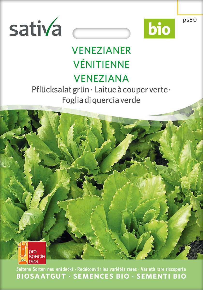 BIO Saatgut Pflücksalat Venezianer grün
